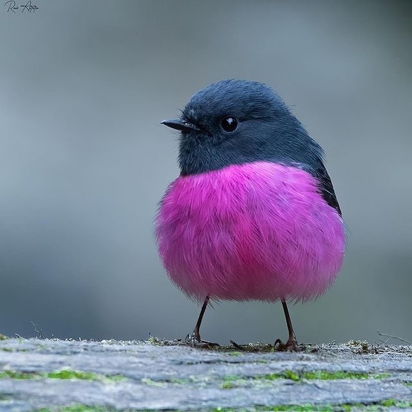 Meet your Posher, Jen - Picture 1 of 1